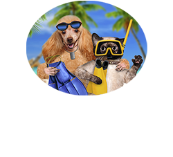 Paulways Pet Resort
